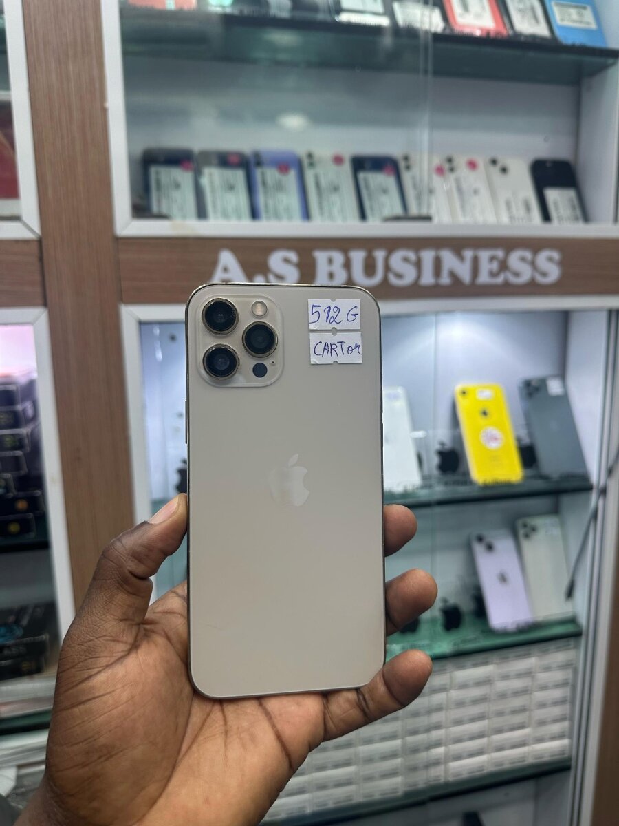 iPhone 12 Pro Max 512GB