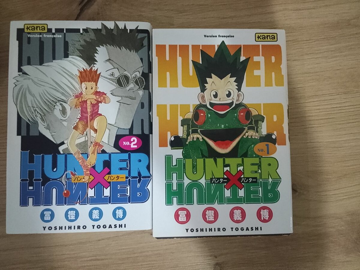 Hunter x Hunter Volumes 1 et 2
