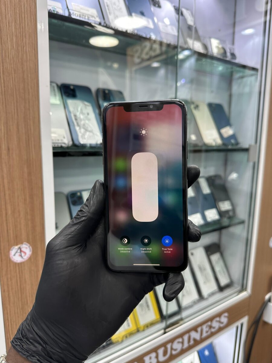 11 pro max 256gb tout passe