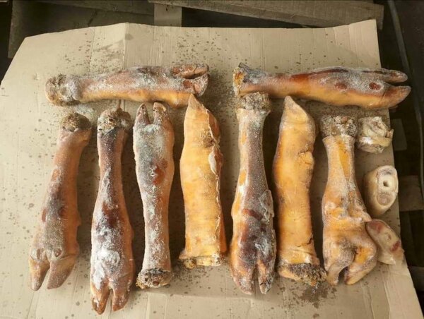 Pattes de bœuf carton de 20 kg