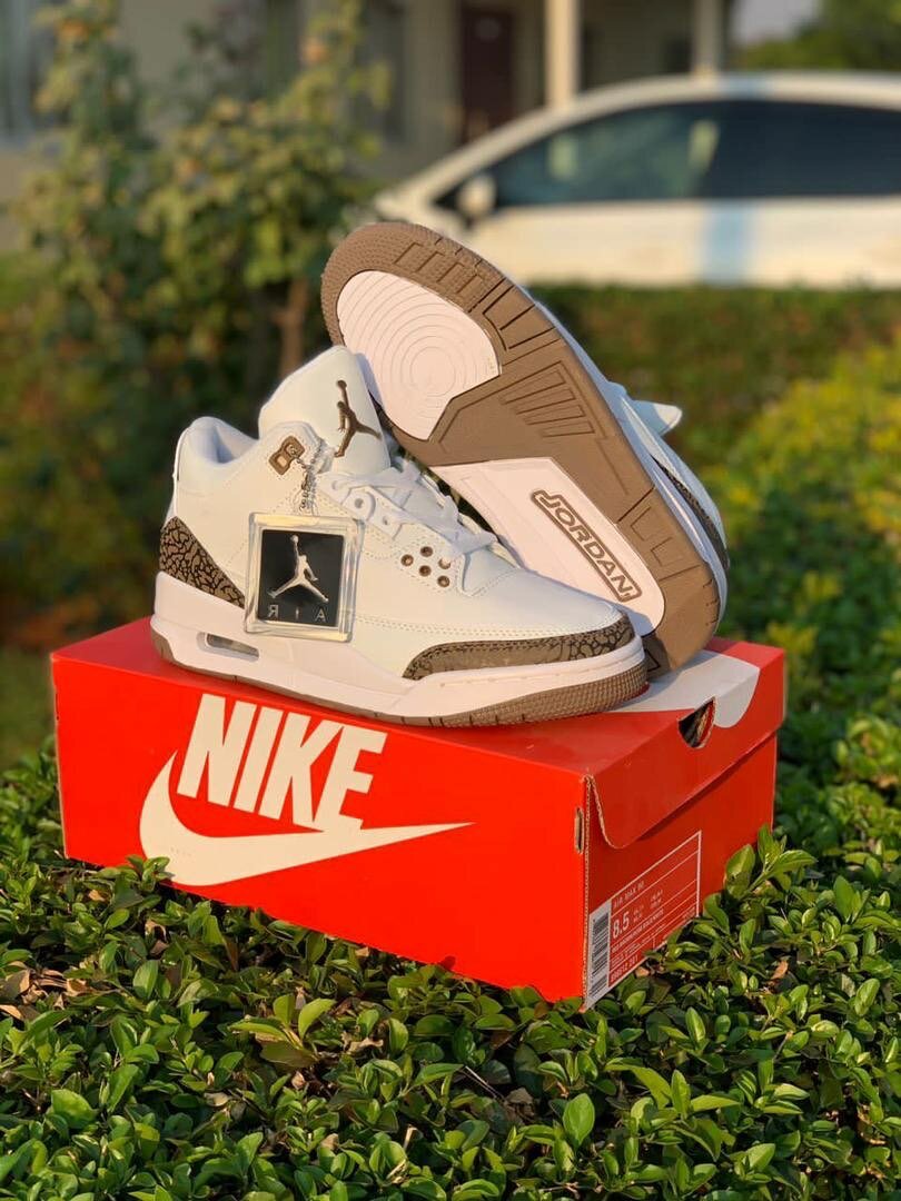 Jordan3 sneakers
