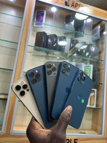 iPhone 12 Pro 256Giga Casi neu