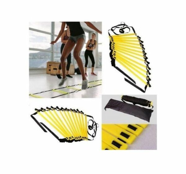 Échelle d'entraînement 6M