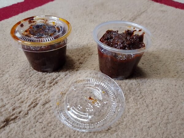 Ebéssé Fion ( Shito)