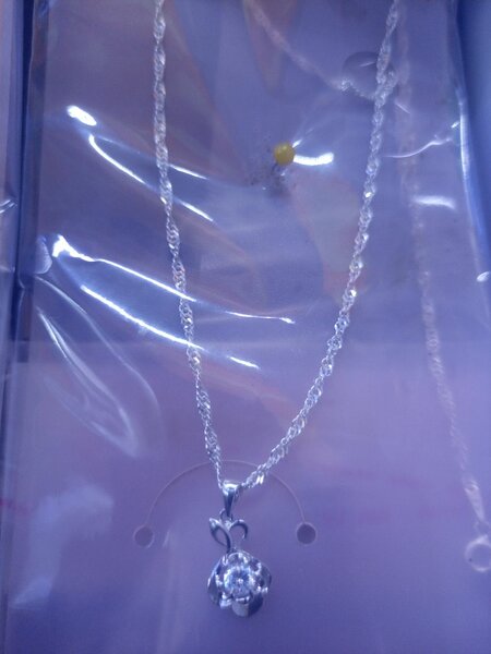 Silver necklace and locket