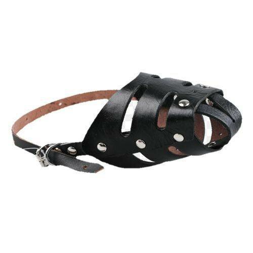 Muselière en cuir pour chien