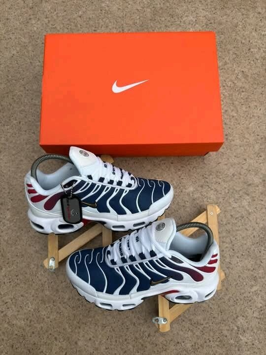 Nike Air Max Plus Baskets Homme