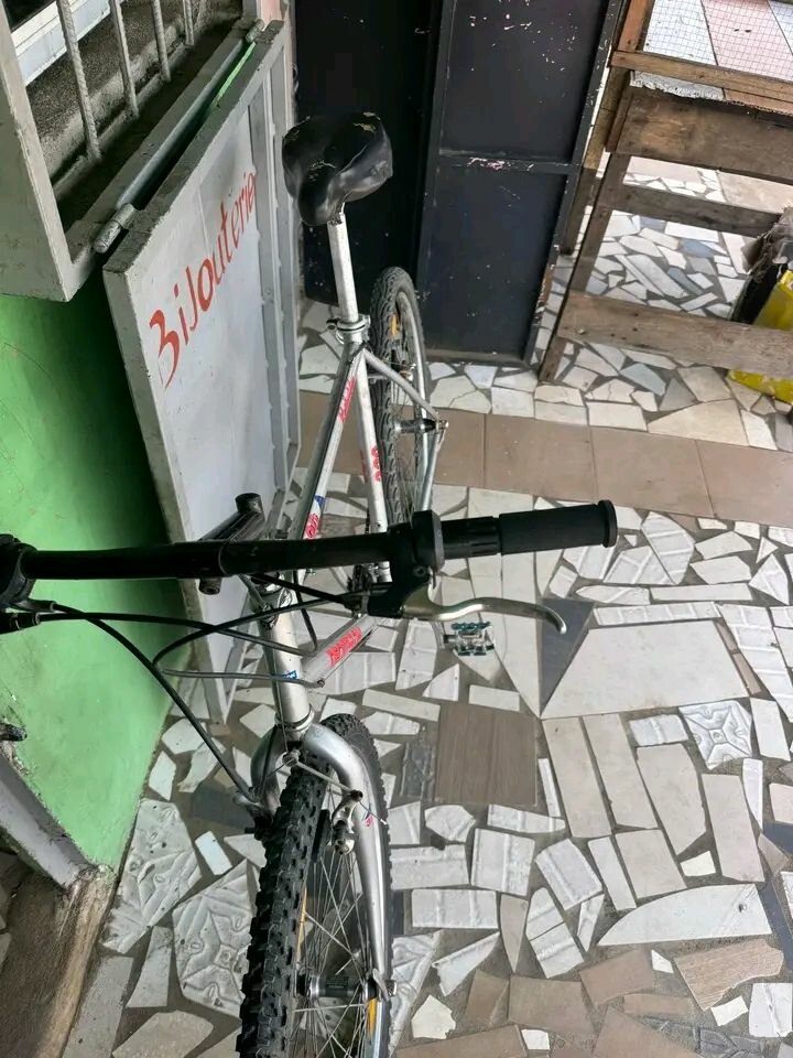 Vélo tout-terrain robuste