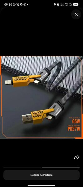 Câble USB-C 65W Rapide