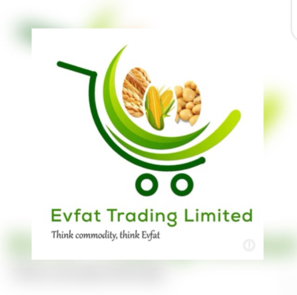 Evfat Trading Ltd 