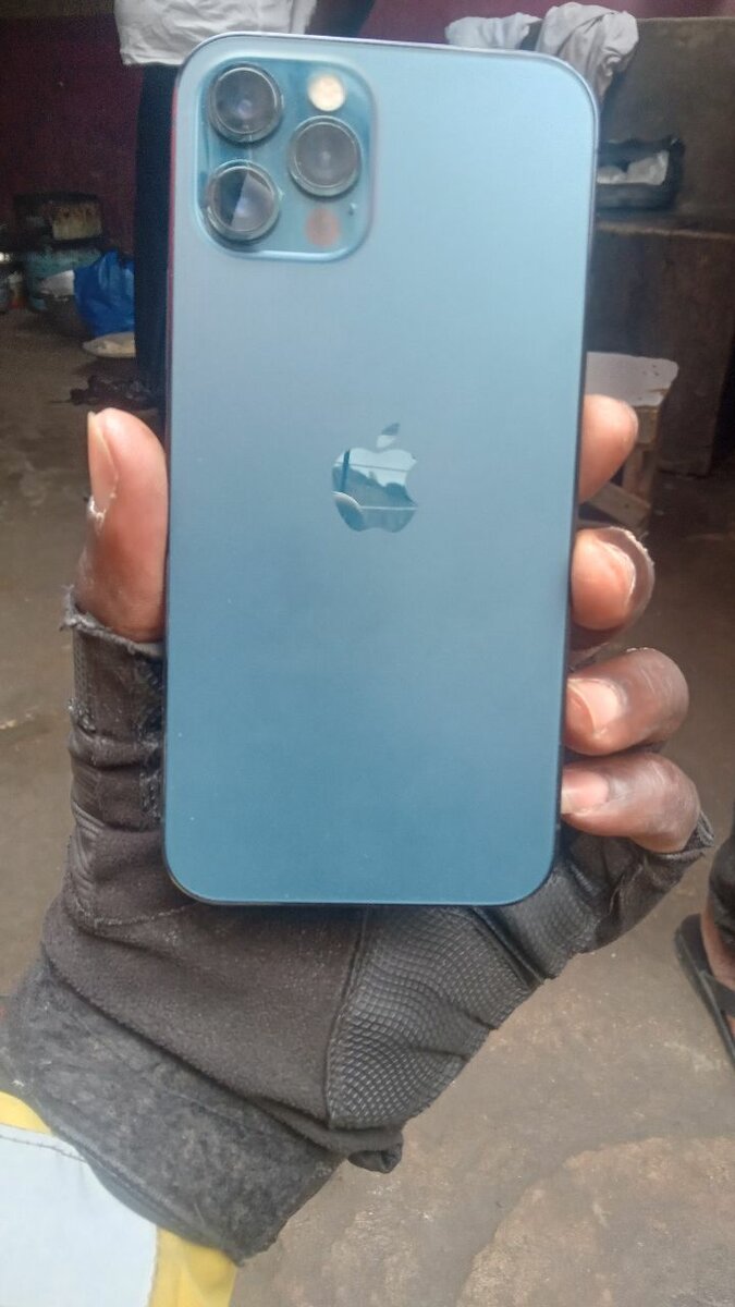 iPhone 12 Pro Max Bleu