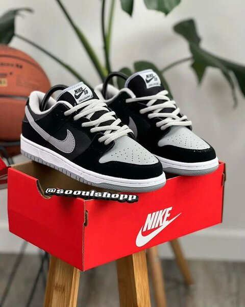 NIKE SB SHOEs