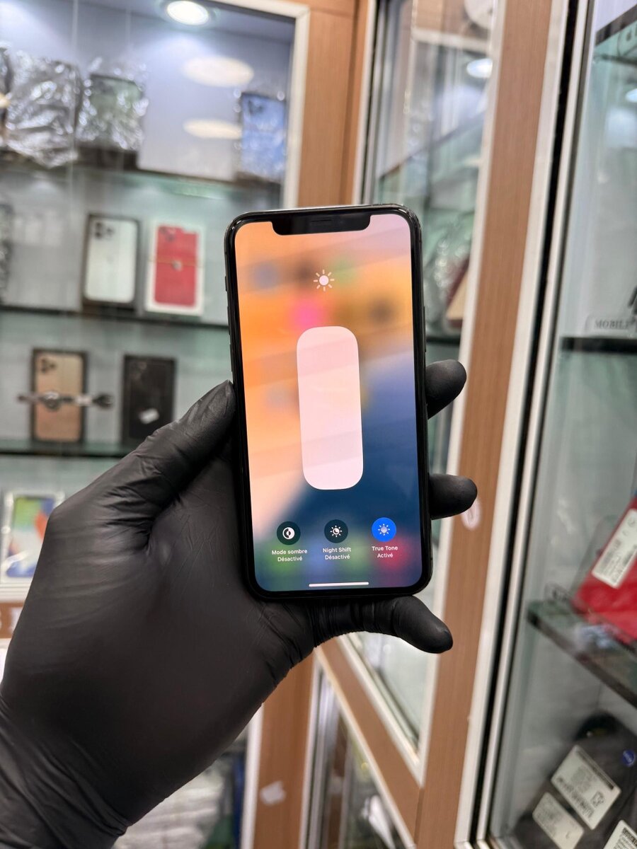 iPhone 11 Pro Max 256go