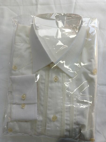 Chemise habillée blanche élégante