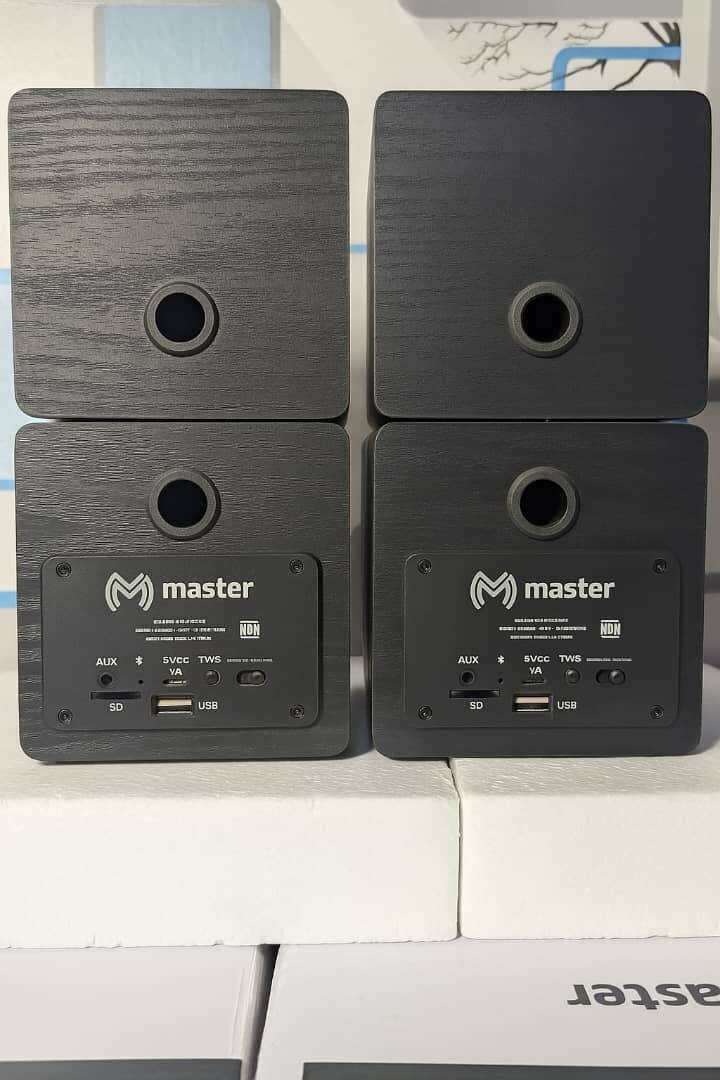 Enceintes stéréo Bluetooth Master