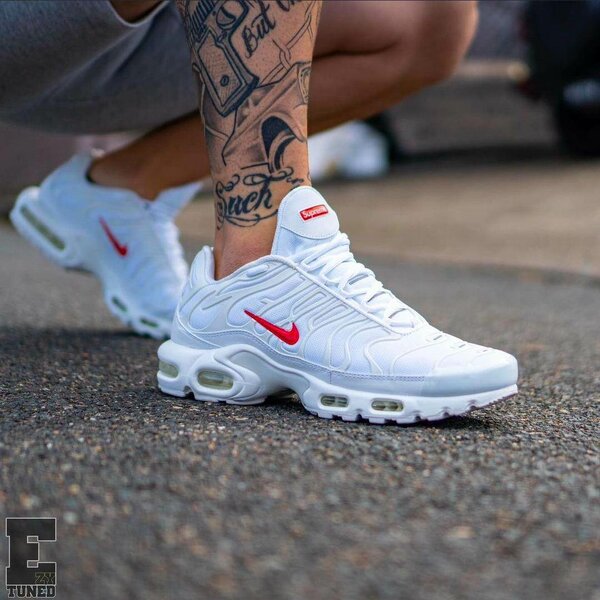 Tn authentique
