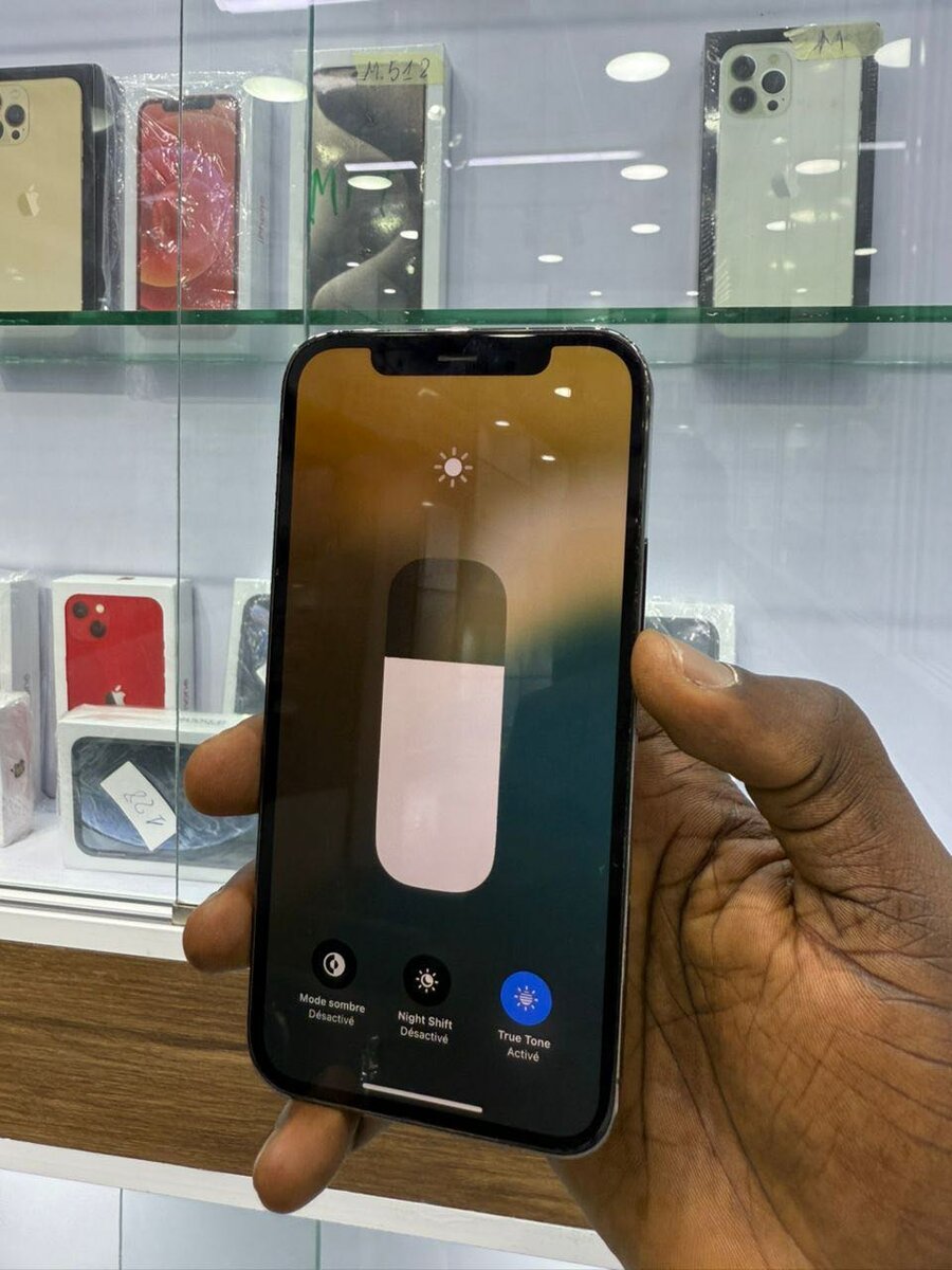 iPhone 12 Pro 128GB Gris