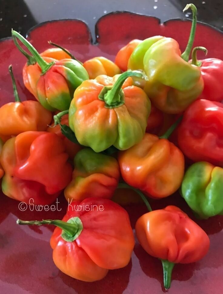 Mélange de légumes frais exotiques