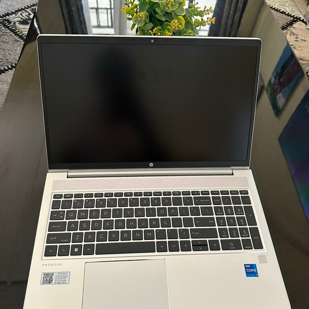 HP ProBook 450 G10 - Core i7