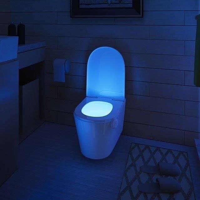 Motion sensor water closet light