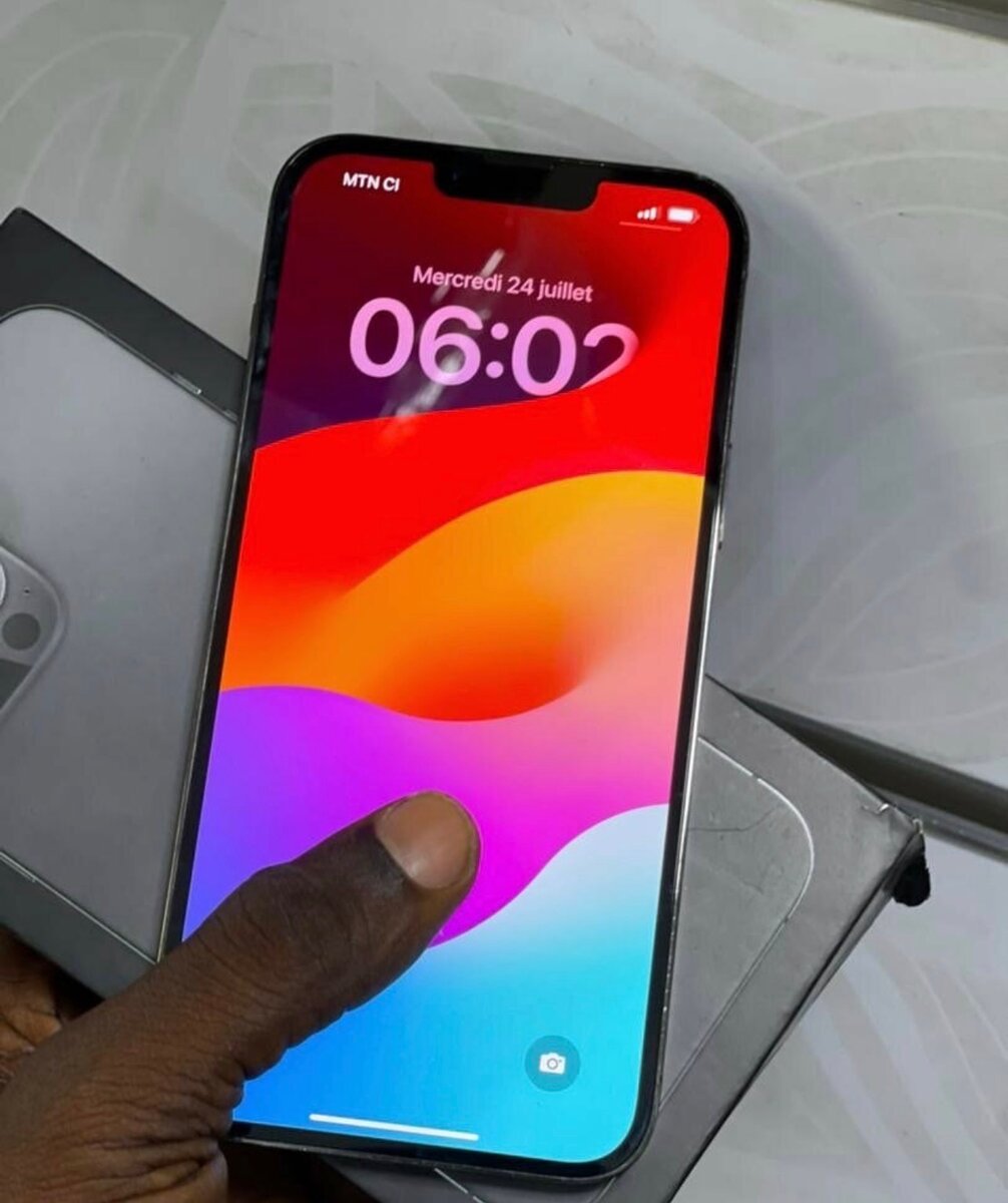 iPhone 13 Pro Max Gris