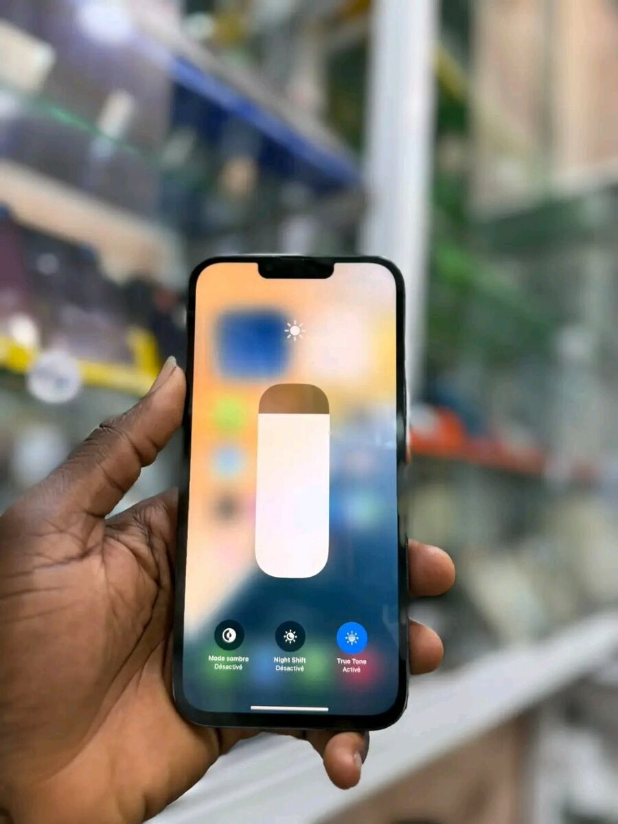 iPhone 13 Pro Max 256GB