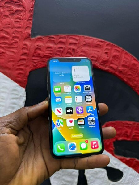 iPhone XS Max 64 Go Gris