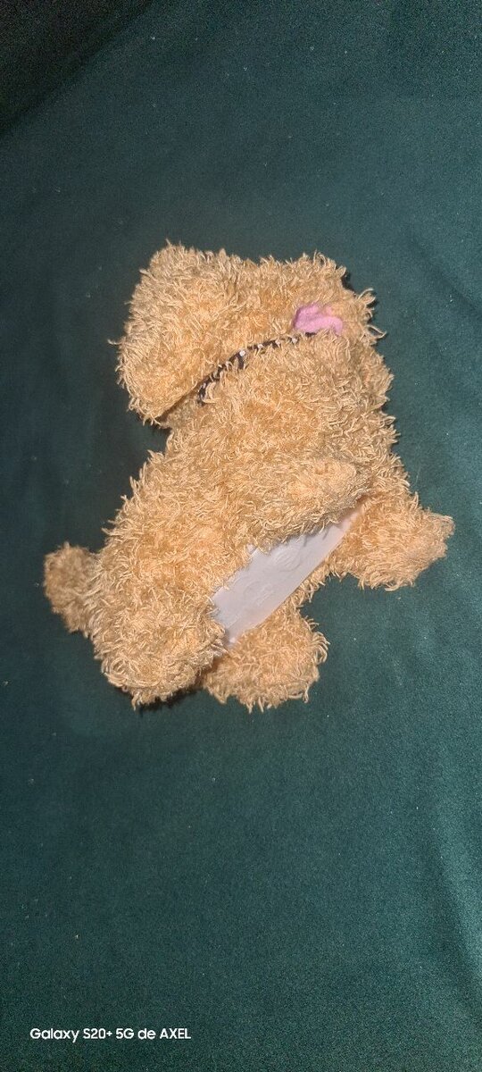 Chien électronique jouer