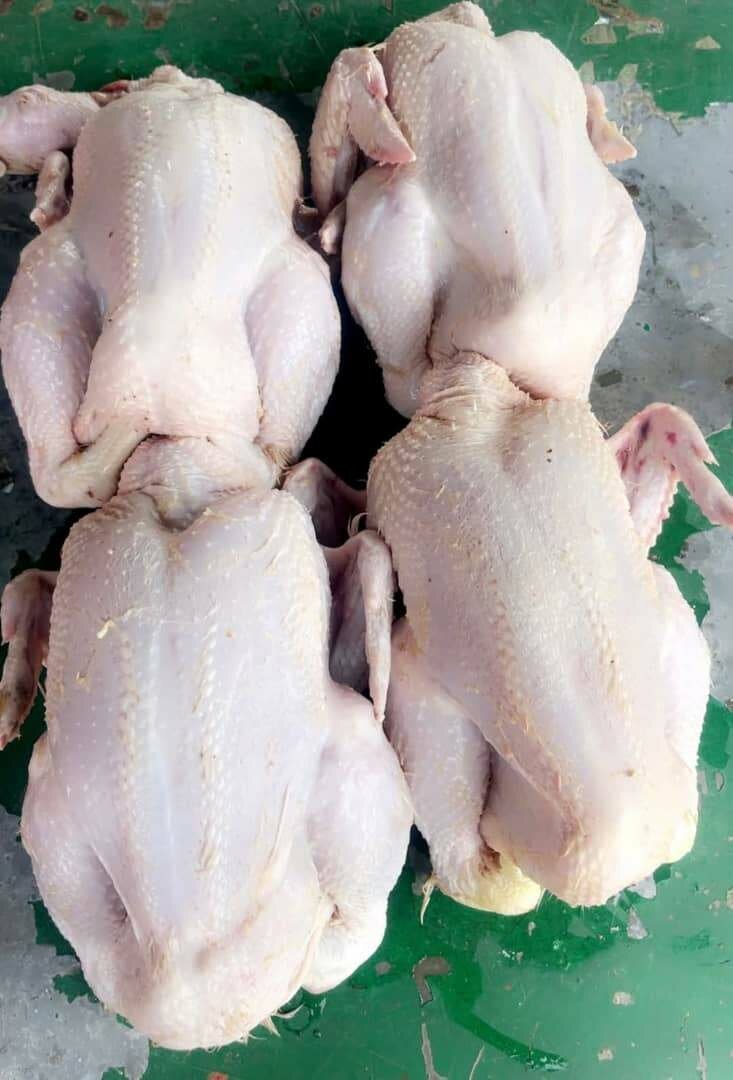 Poulet Frais de Qualité