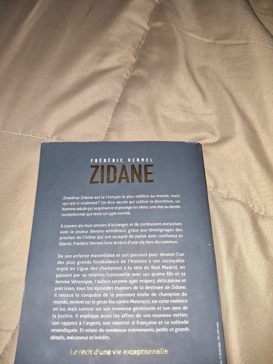 Biographie de Zidane