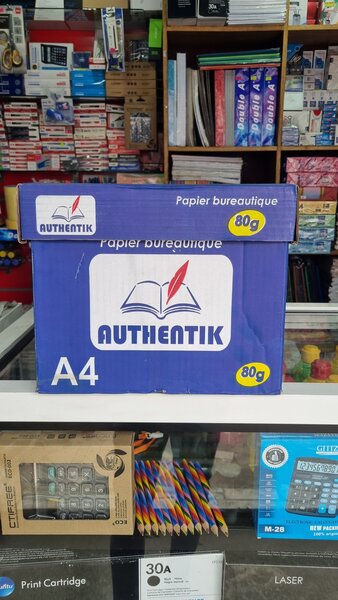 Papier Authentik A4 80g