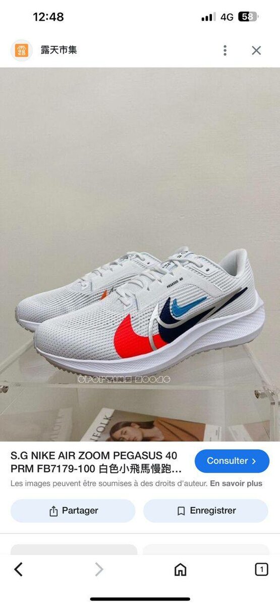 Nike Air Zoom Pegasus Homme