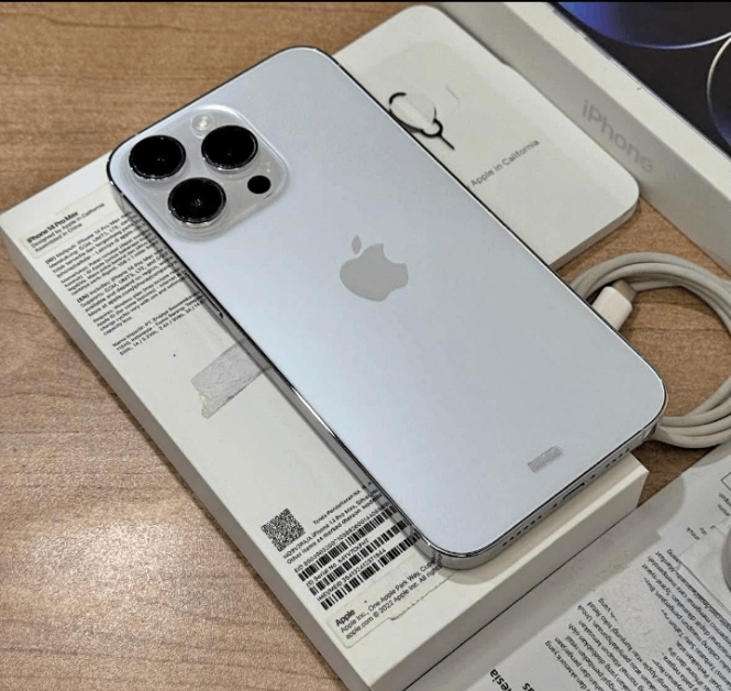 iPhone 13 Pro Max 256 Go Argent