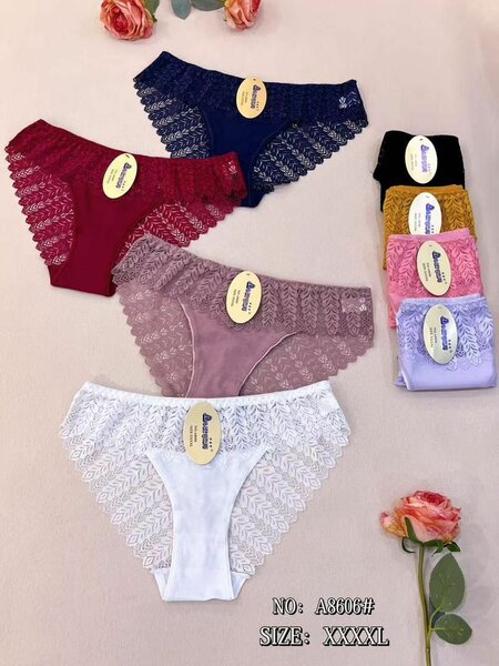 Culottes en Dentelle Grande Taille