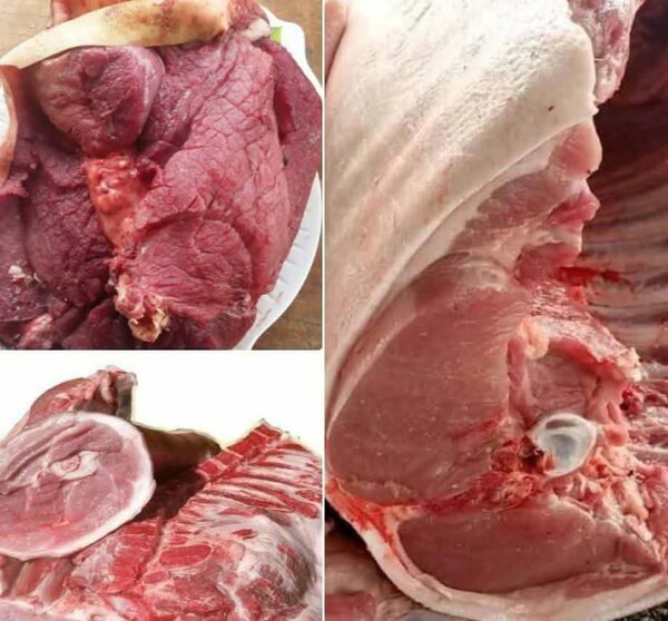 Porc africains disponible