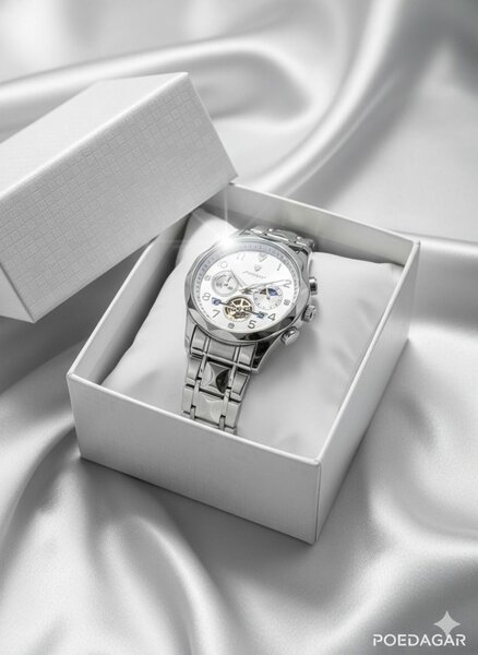 Montre automatique luxe homme