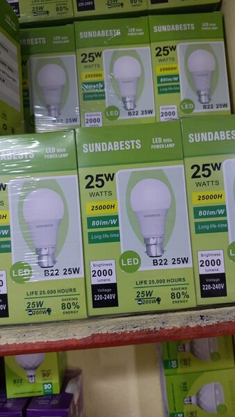 Ampoule LED B22 25W