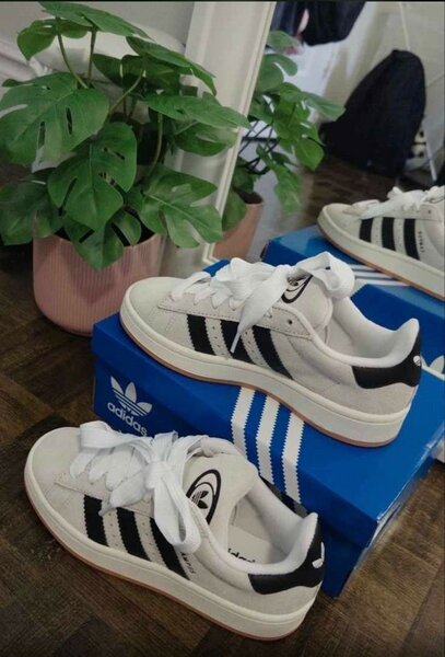 Adidas campus