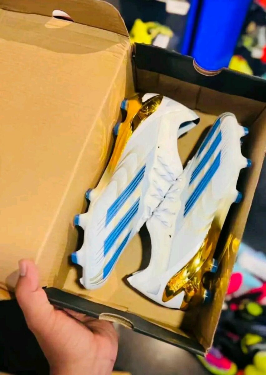 Chaussure de foot (paire de magret)