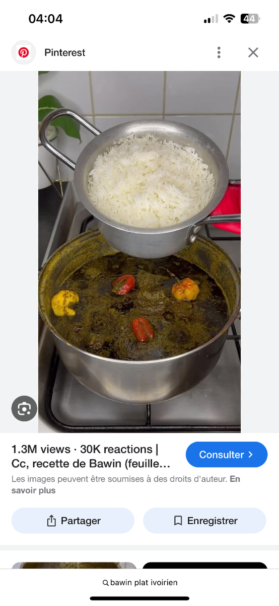 1 Bawin thon 1 Bawin brochet