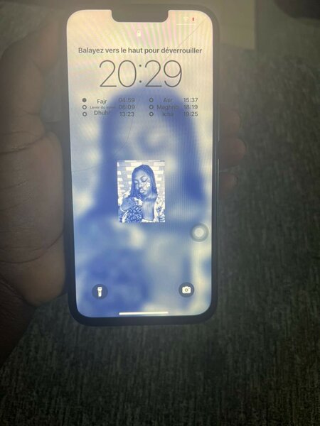iPhone 13 Pro Max dos Fissuré