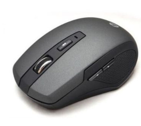 Souris sans fil ergonomique