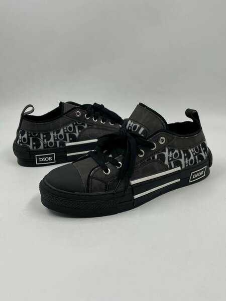 Dior Converse