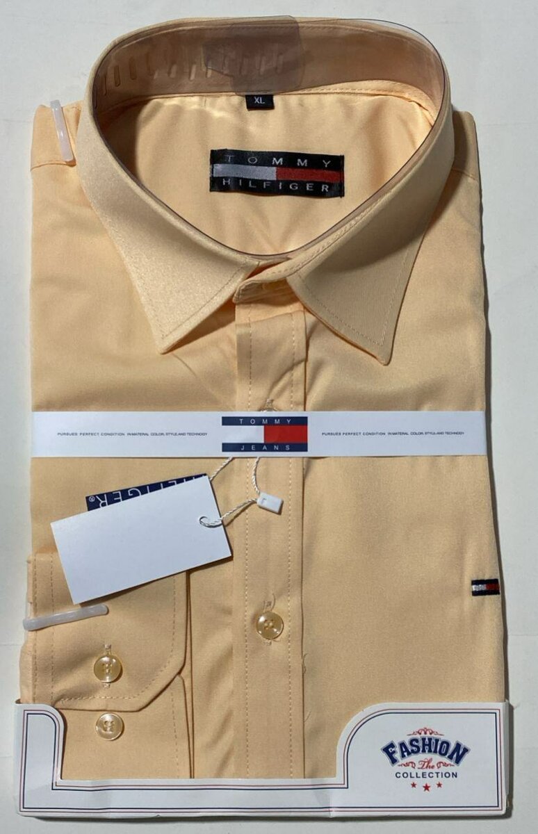 Chemise classique Tommy
