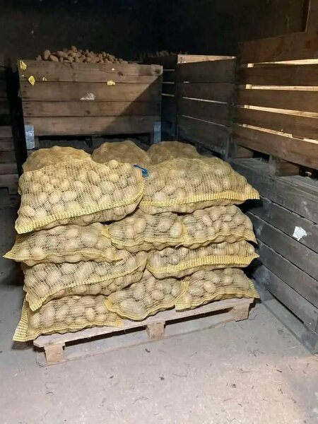 Pommes de terre en gros