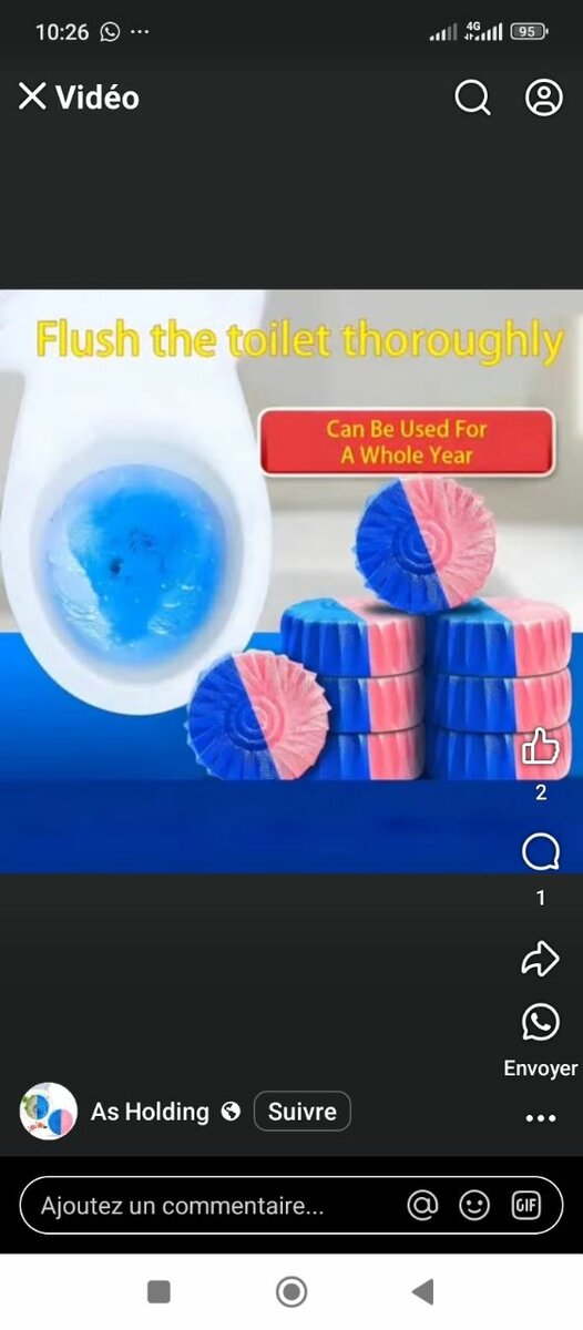 Tablettes nettoyantes WC