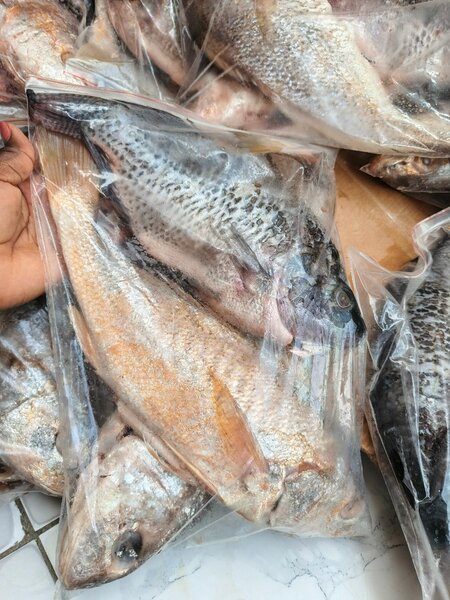 Poisson frais nettoyé kit de 3