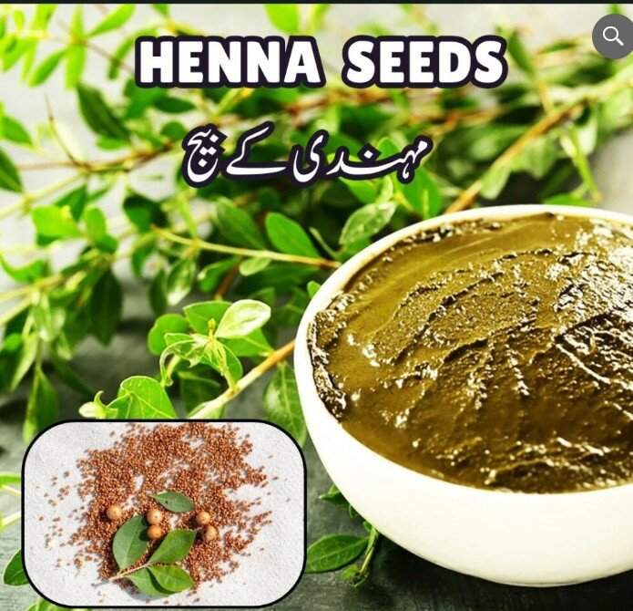 Henna Seeds