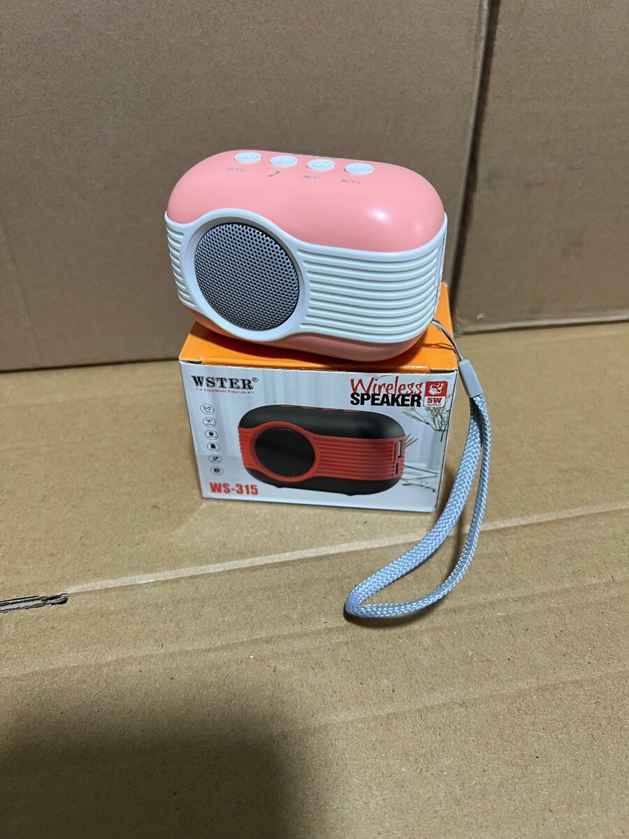 Enceinte Bluetooth WSTER WS-315