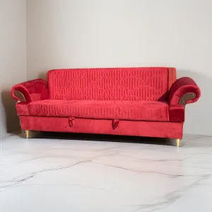 Designer Sofa Cum Beds